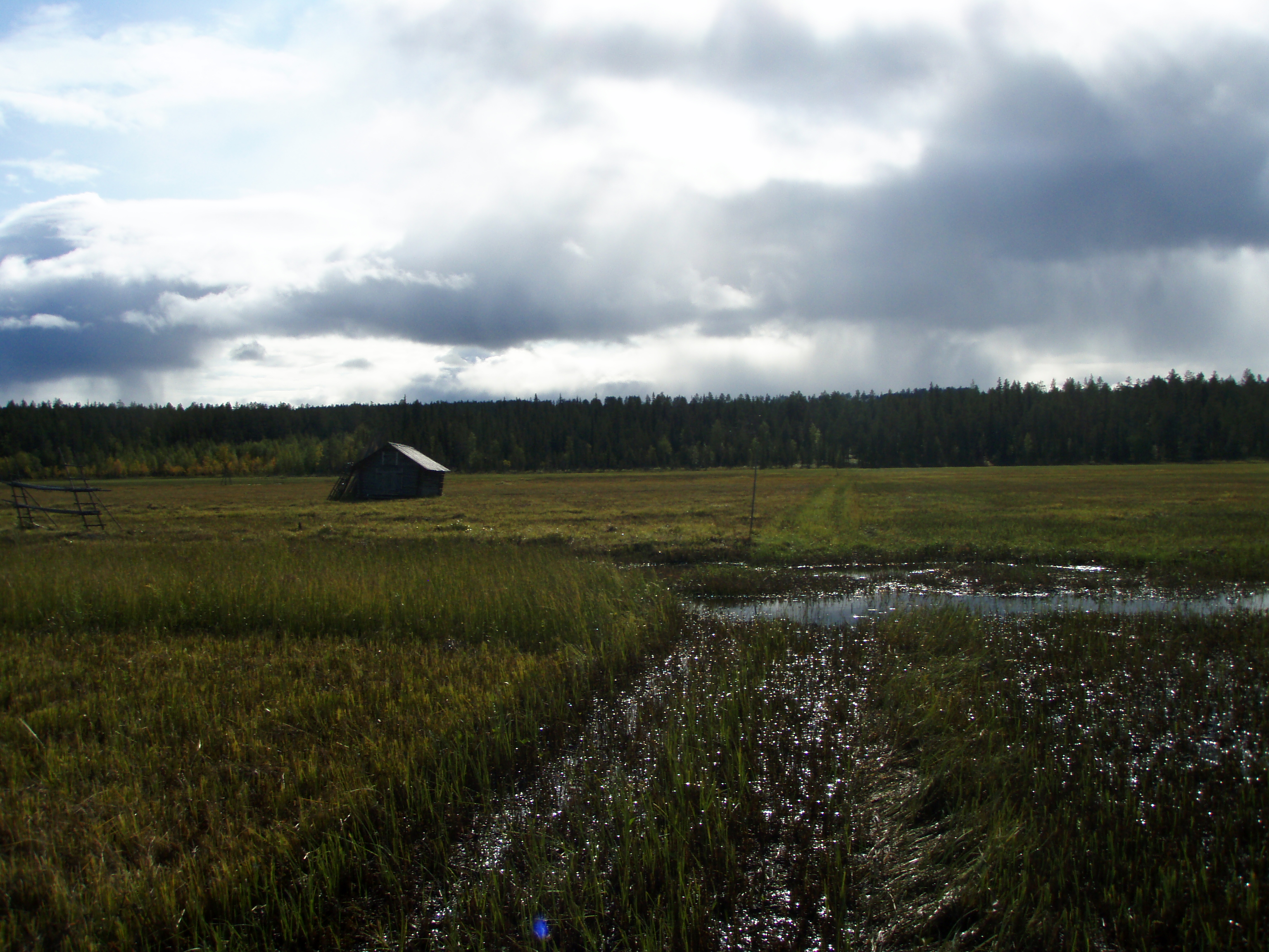 Hay barns, Vasikkavuoma